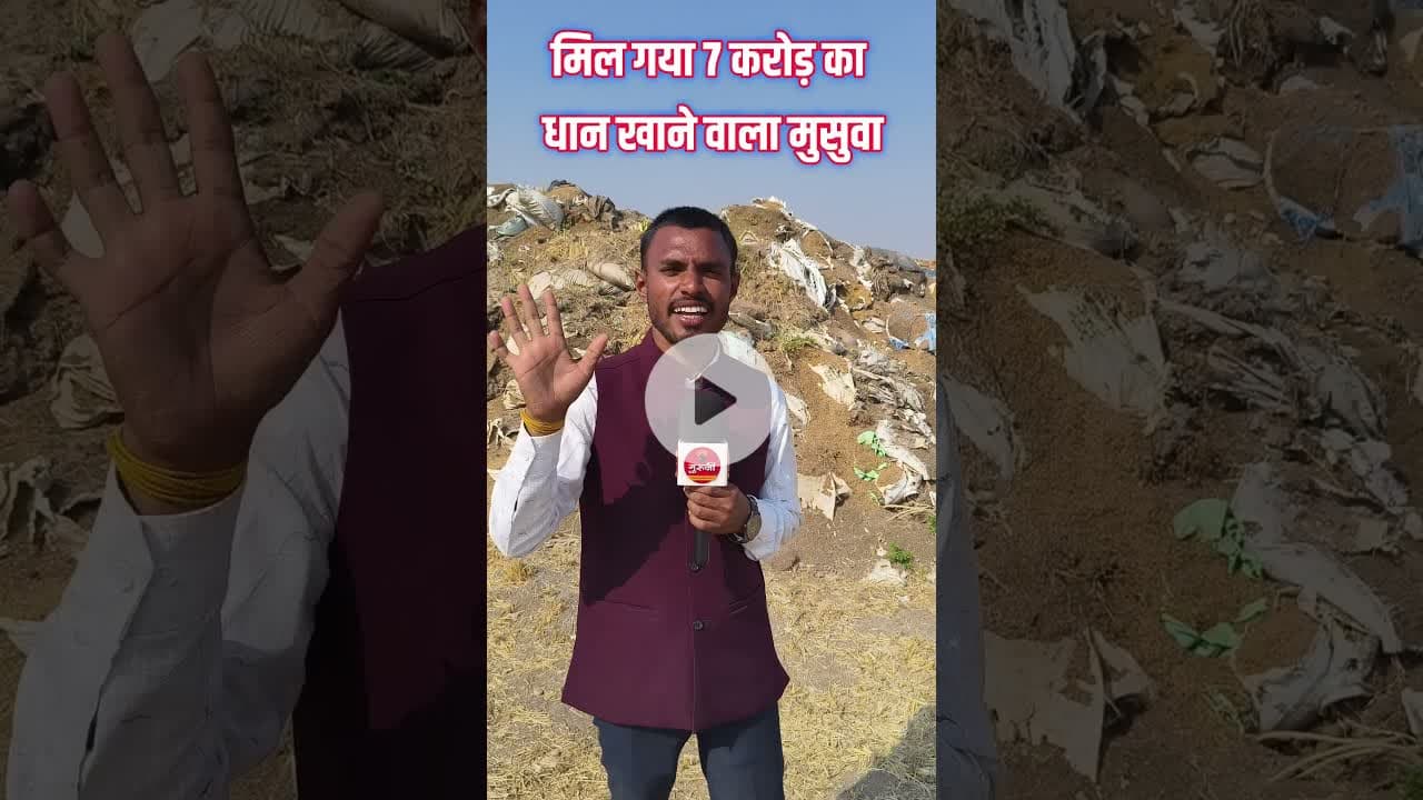 मिल गया 7 करोड़ धान खाने वाला चूहा?? #news #breakingnews #gurujitv #cgnews #चूहा #धान #kawardhanews
