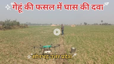 गेहूं के फसल में घास की दवा छिड़काव करते हुए!
#किसान_का_बेटा_जमीनी_नेता
#राष्ट्रीय_सचिव #समाजवादी_लोहिया_वाहिनी
#विवेक_सिंह_पटेल #संघर्ष_जिन्दाबाद