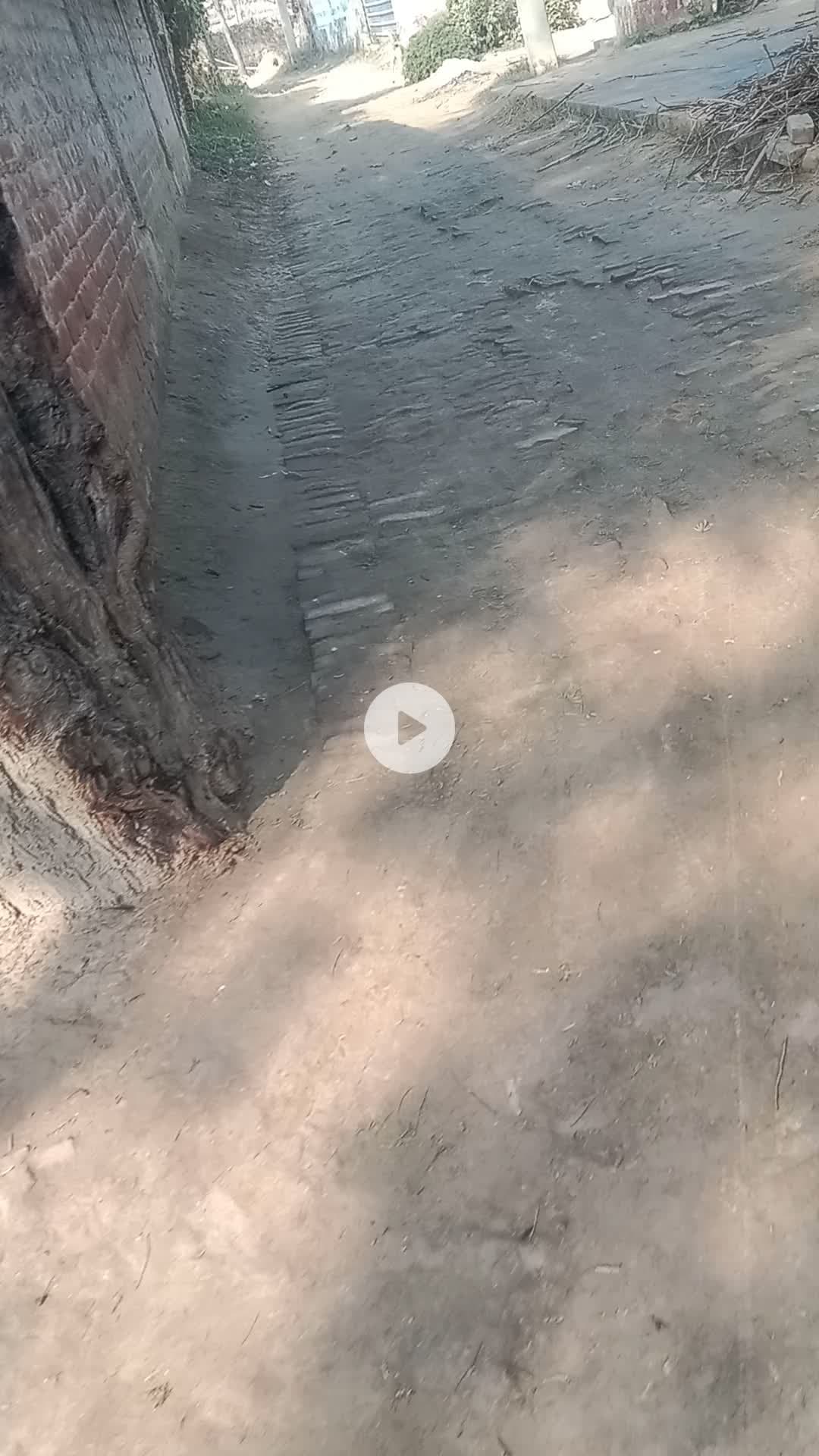 रोड खराब होने के कारण आने जाने की समस्या
रिहारन पुरवा गांव में
