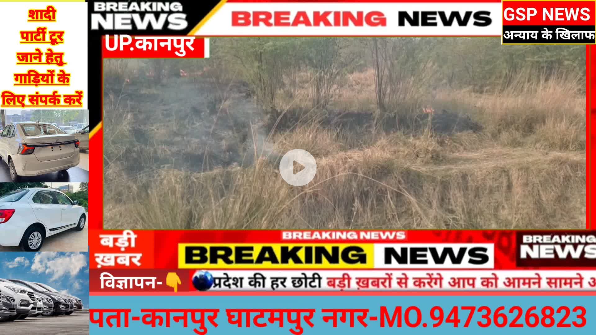 घाटमपुर 
#जगंल की आग बुझते ही बेजुबान पशु#पंछियों को मिली राहत@