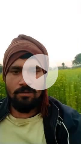 #सरसों के रंग#
mithilesh #Short #video#