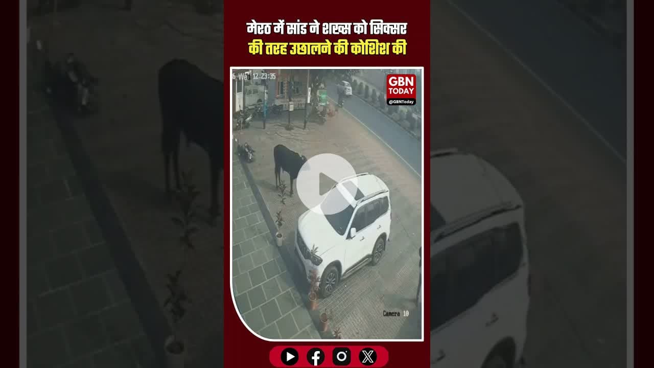 मेरठ: 'सिक्सर' की तरह शख्स को हवा में उछालने चला था सांड #Meerut #BullAttack #ViralVideo