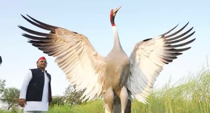 ऐसी शानदार #शख्सियत जिन्हें #इंसानो के साथ-साथ  #पशु_पक्षी और #प्रकृति से भी बेपनाह #मोहब्बत है।