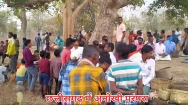 पेंड्रा : पेंड्रा ग्राम पंचायत दमदम में बिद्री आयोजन में गांव के सभी लोग शामिल हुए छत्तीसगढ़ में अनोखी परंपरा#nrw #