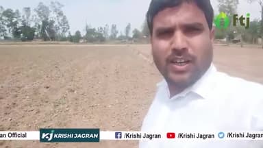 जानें गन्ने की खेती में कब और कैसे करें गुड़ाई, कौनसा कीटनाशक और खाद है बेहतर
 #sugarcanefarming #agriculture #farming