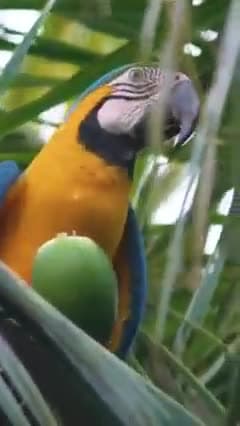 प्यास बुझानी है तो उड़ जा पंछी, शहर की सरहदों से दूर..
यहाँ तो तेरे हिस्से का पानी भी, प्लास्टिक की बोतलों में बंद है 

 #दर_बदर