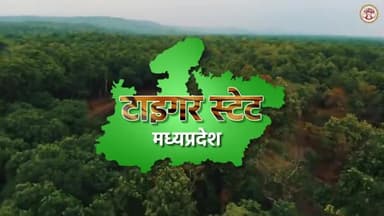 हम हैं... "टाइगर स्टेट"

#TigerStateMP #MadhyaPradesh