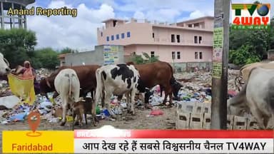 फरीदाबाद: मत रो माता# बल्लबगढ़ #ballbgarh #faridabadne #जी20