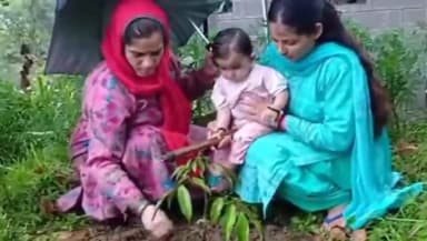 मुल्थान: पद्दर उपमंडल में 1100 बाटियों के द्वारा किया गया पौधरोपण