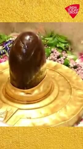 सचिन तेंदुलकर ने काशी विश्वनाथ मंदिर में की पूजा, सुनील गावस्कर, कपिल देव और जय शाह भी रहे मौजूद #sachintendulker #k#