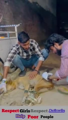 Dog Help 🐕🫶🏻

Respect Girls help poor help animals 

#apsgurjar #supportinghandsfoundation