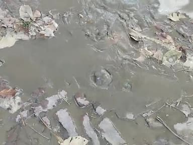 धौरहरा: ग्राम महरिया में पानी की टंकी की पाइप फटी होने की वजह से सड़क पर पानी भरने लगा
#mahariya