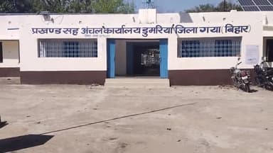 डुमरिया: मैगरा डुमरिया के बीच सड़क किनारे गिरा वृक्ष दुर्घटना का दे रहा है संकेत #saftyfirst