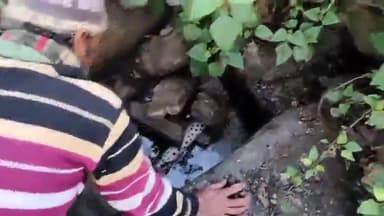 मंच: तामली में पेयजल स्रोत सूखने से पेय जल की भारी समस्या हर घर नल योजना में भी नहीं मिल रहा पानी