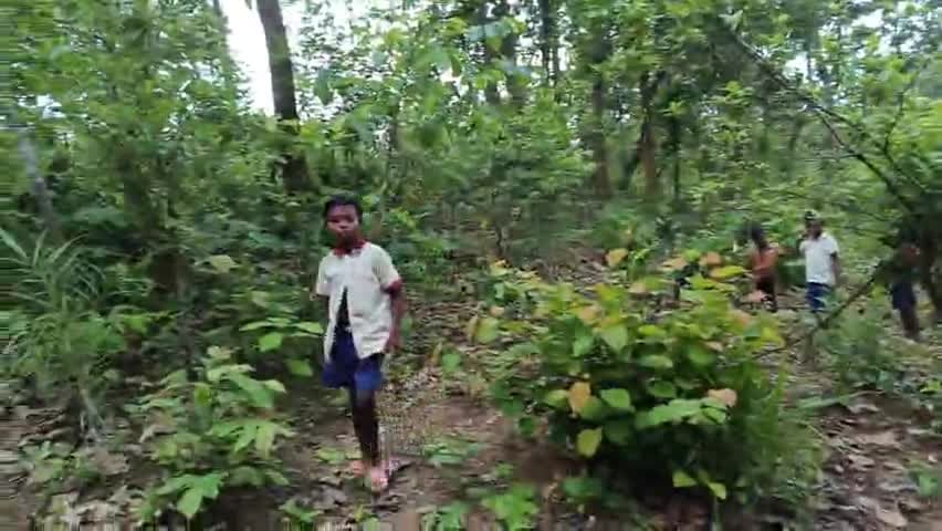 jangal me batalin village kauwadanr me