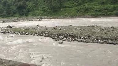 हिना के पास नदी के बीचो-बीच तीन पशु फंसे हुए हैं
