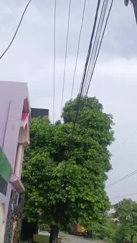 थाना मझोला आजाद नगर कॉलोनी  में विद्युत विभाग की लापरवाही से लाइन ट्रिपिंग और बड़ा हादसा कभी भी हो सकता है #यूपीसीएम