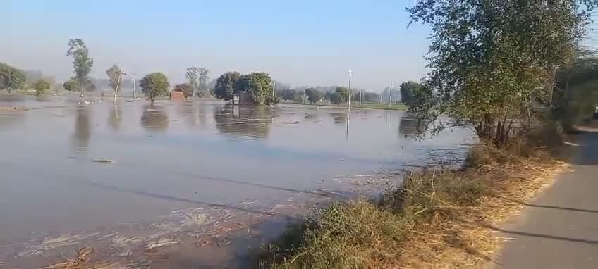 सुंदर ब्रांच नहर नंदगढ़ के पास टूटी सेंकड़ों एकड़ गेंहूँ की फसल हुई बर्बाद #sunderbranch #nahar #Nandgarh