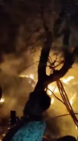 कुंवारिया तहसील गांव लपसिया मैं लगी भीषण आग 4गाय आई चपेट में गांव वाले सब आए और आपको काबू नहीं कर पाए दंगल बुलाया बाद मे