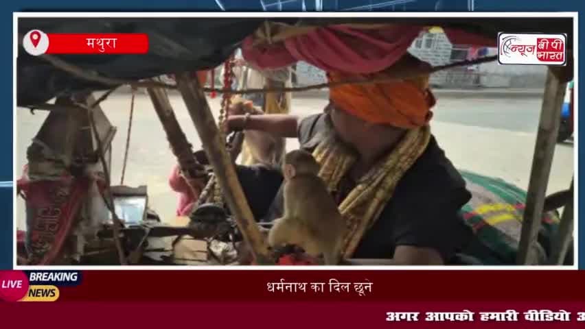 धर्मनाथ का दिल छूने वाला कदम: दिव्यांग साधु बन गए बंदरों के पालनहार
#धर्मनाथ #दिव्यांग #साधु