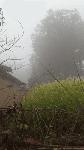 chhatisgarh barwahi me tejgati se dhun ki suruwat suruhogai hai thandhi ki mosam tejhogai hai