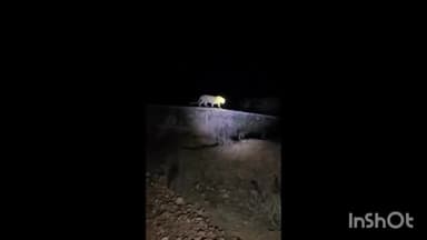 सिरोही शिवगंज में पैंथर के मूवमेंट का मामला वन विभाग की टीम पैंथर का नहीं कर पाई रेस्क्यू अभी तक
