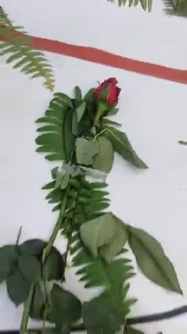 dulha Baleno gadi ke liye sampark kare #7485881992 @official Haidar
haidarali35685@gmail.com