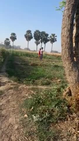 #हीरा और मोती दो बालो की जोड़ी!
मैं और देश का विकास? 
        🙏 बाकी आपका आशीर्वाद🙏
