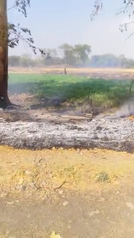 दिन में पास के खेत वाले ने आग लगा दी जिसकी वजह से बहुत नुकसान हो गया