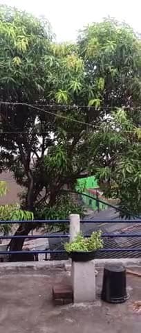 bhanpuri me joro se barish or garjana
#raipur
#bhanpuri