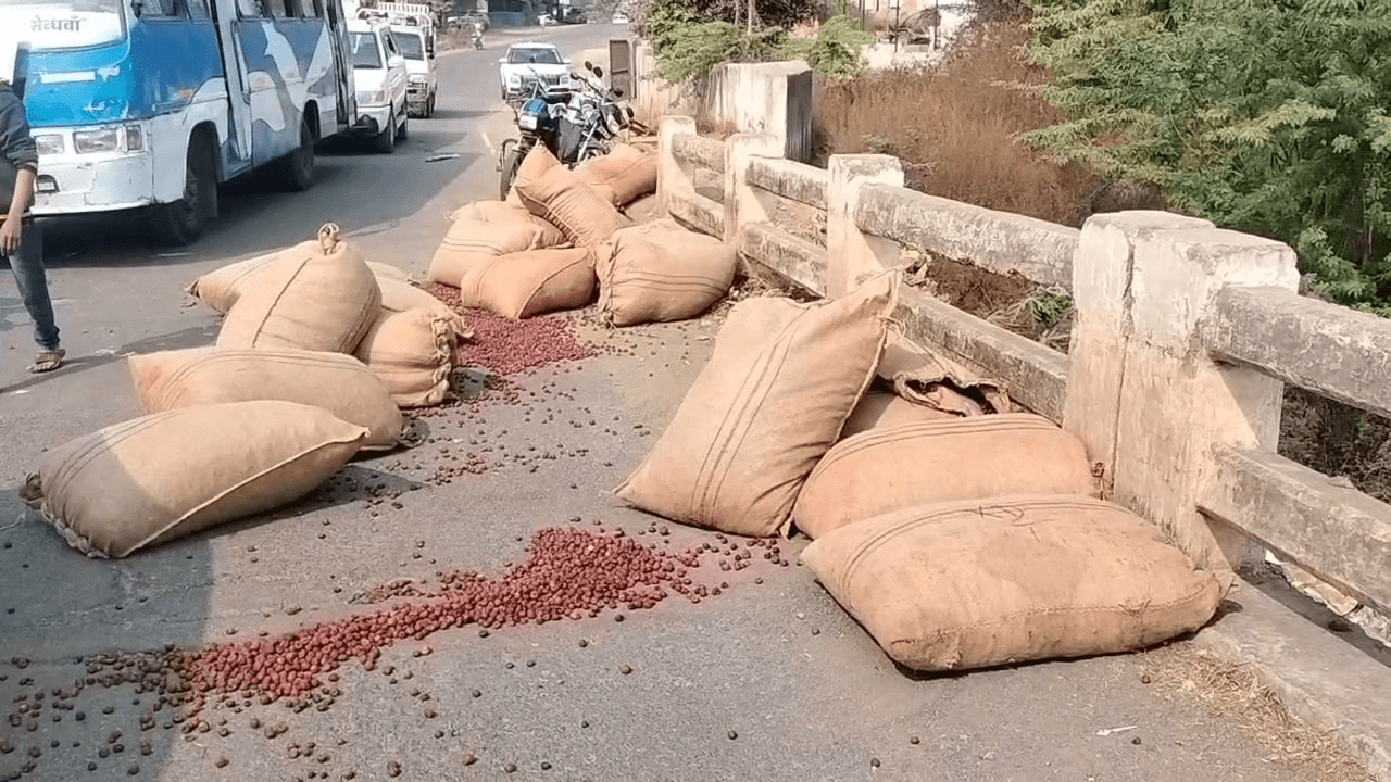 सेगांव: जुलवानिया हादसा: सुपारी ट्रक ने तोड़ी डेब नदी पुल की रेलिंग, चालक नदी में दबा! #सेगांव, #हादसा, #SegaonNews