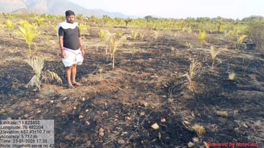 ಹೊಸದುರ್ಗ: ಅಗಸರಹಳ್ಳಿ ಗ್ರಾಮದಲ್ಲಿ ಅರಣ್ಯಕ್ಕೆ ಬೆಂಕಿ ಬಿದ್ದು ಪಕ್ಕದ ತೋಟದ 600 ಅಡಿಕೆ ಗಿಡಗಳು ಬೆಂಕಿಗಾಹುತಿ