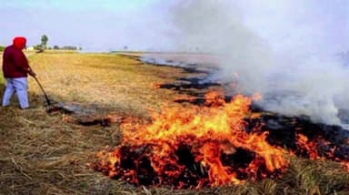 उदयनगर: उदयनगर तहसील में नरवाई जलाने की घटनाओं को रोकने के लिए पंचायत स्तर पर दल का गठन किया जाएगा