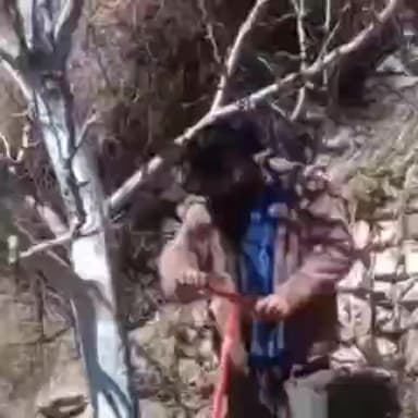टापरी: ज़िले के निचले ग्रामीण इलाकों में सेब बगीचों को बीमारियों से बचाने के लिए लोगों ने शुरू की मिट्टी की जांच प्रक्रिया