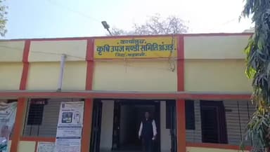 ठीकरी: भारतीय कपास निगम लिमिटेड द्वारा अंजड़ कृषि उपज मंडी में 27 फरवरी तक होगी कपास की खरीदी