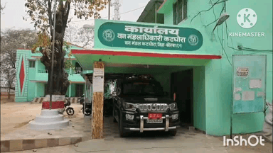 पोड़ी उपरोड़ा: जटगा रेंज में हाथियों की दहशत, लोगों के सामने जिंदा रहने की चुनौती