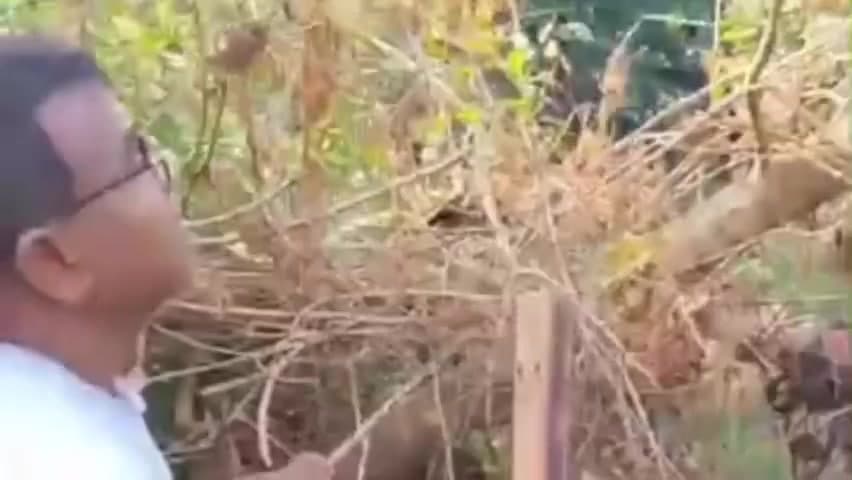 निवास: जिले के निवास में राधा कृष्ण मंदिर के पास बावली में फंसा अधेड़, पुलिस ने किया रेस्क्यू