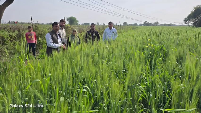 रन्नौद: शिवपुरी जिले में नरवाई जलाने पर पूर्ण प्रतिबंध, उल्लंघन करने पर ₹15 हजार तक का जुर्माना