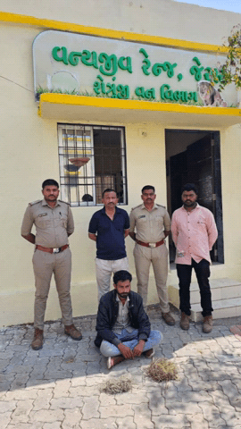 જેસર: જેસર વન્યજીવ રેંજ વન વિભાગ દ્વારા શિકારની કોશિશ કરનાર વિરુદ્ધ કાર્યવાહી હાથ ધરવા