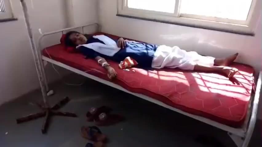 निवास: जिले के निवास स्थित शासकीय हाई स्कूल बिसौरा में मधुमक्खियों का हमला, छात्राएं और 4 शिक्षक घायल