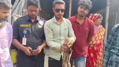 ইটাহার: এক মাসের ব্যবধানে ইটাহারের বালিজোল গ্রাম থেকে উদ্ধার লুপ্ত প্রায় গন্ধ গোকুল প্রাণী, চাঞ্চল্য এলাকায়