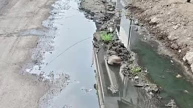 सोनकच्छ: गंधर्वपुरी में नाली की समस्या से परेशान ग्रामीण, सरपंच-सचिव से शिकायत के बाद भी नहीं हुआ समाधान