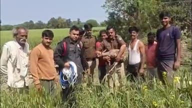 जैसीनगर: ग्राम सेमराघाट में कुएं में गिरा हिरण का बच्चा, डायल 112 टीम ने देवदूत बनकर किया सुरक्षित रेस्क्यू