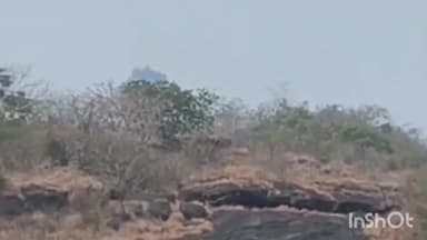 ತೀರ್ಥಹಳ್ಳಿ: ಬಾಳೆಬೈಲಿನ ಸಮೀಪದ ಸಿದ್ದೇಶ್ವರ ಗುಡ್ಡದಲ್ಲಿ ಹೊಂದಿಕೊಂಡ ಬೆಂಕಿ