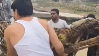 हर्रैया: मखौड़ा धाम में युवाओं ने शुरू किया सफाई अभियान, लोगों से मनोरमा नदी को स्वच्छ रखने में सहयोग की अपील की