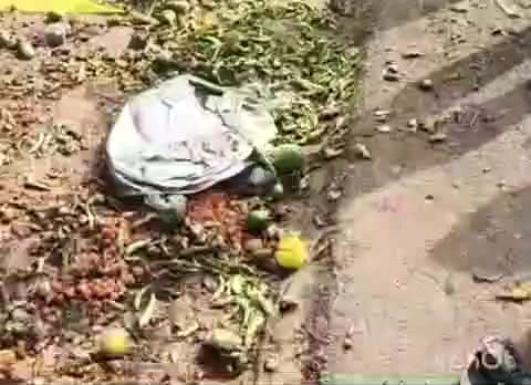 मड़ावरा: दिदोनियाँ में तेज रफ्तार ट्रक ने सड़क किनारे लगी एक दर्जन से अधिक सब्जी की दुकानों को कुचला