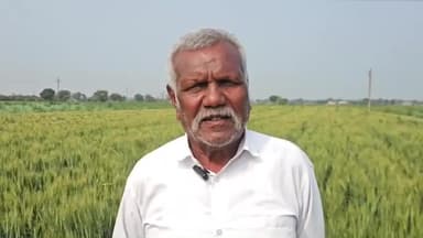 તાલોદ: ગાય નિભાવ સહાય યોજના હેઠળ ઝીરો બજેટ થી સમૃદ્ધિ મેળવતા ખેડૂતા નવલપુર ગામના ખેડૂતે પ્રતિક્રિયા આપી.