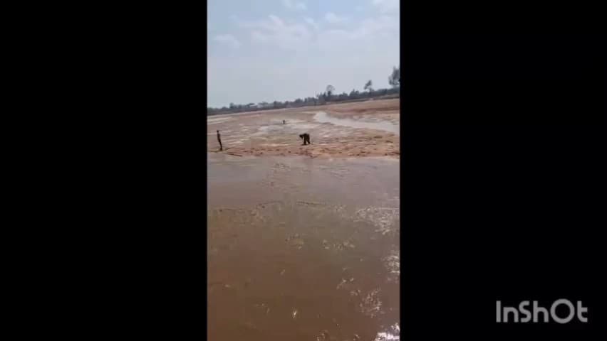 रामानुजगंज: रामानुजगंज में कन्हर नदी एनीकट का गेट मरम्मत के लिए खोला गया, मछली मारने वालों की लगी भीड़