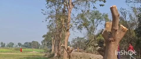 हरलाखी: बिटुहर मुशहरी में हरे सरकारी पेड़ काटने पर हरलाखी थाना में 20 महिलाओं पर मामला दर्ज