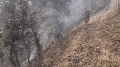 चितरंगी: सिंगरौली जिले के कुर्सा-करथूआ मार्ग पर जंगल में भीषण आग, स्थानीय लोगों ने पाया काबू